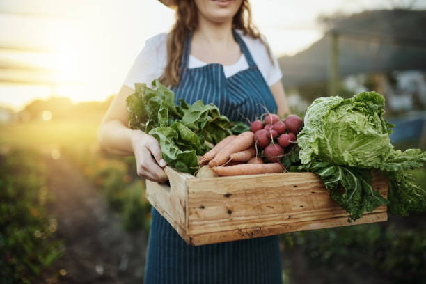 Duurzaam360-Met-kinderen-de-natuur-in-start-met-permacultuur-moestuinieren